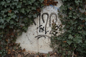 5a-Graffiti, 722, Vor Unterführung Francke_MG_5692