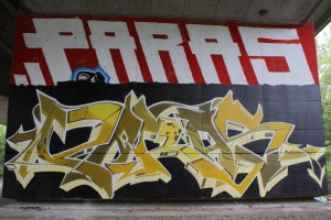 PARAS, schwarz-gelb_MG_6295