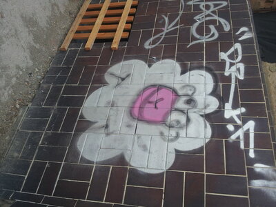 Scha(r)f