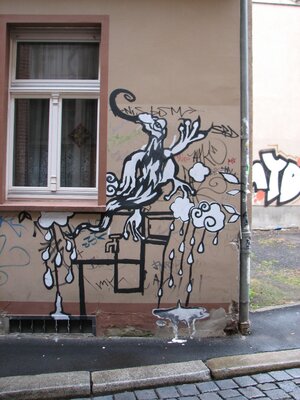 Wasser-Geier