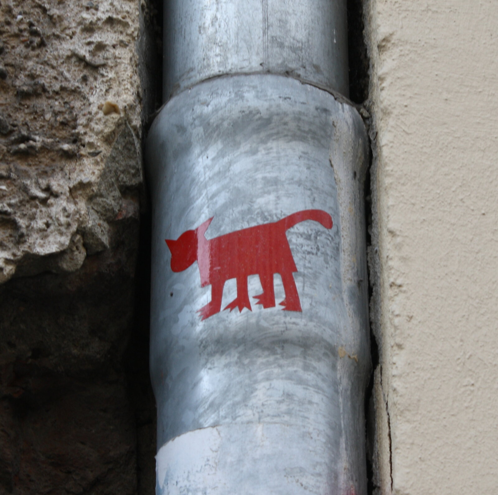 rote Katze