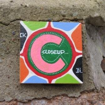 Closeup Rosette