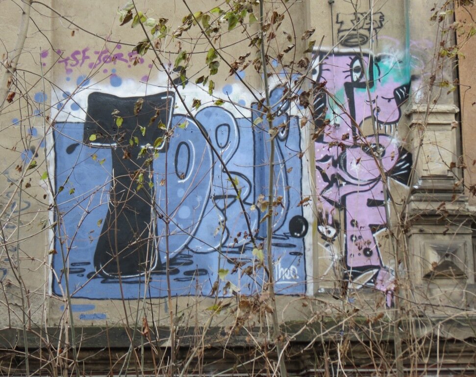 TORF 6