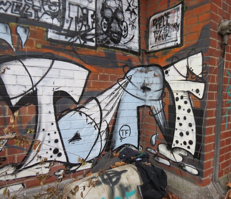 TORF 7