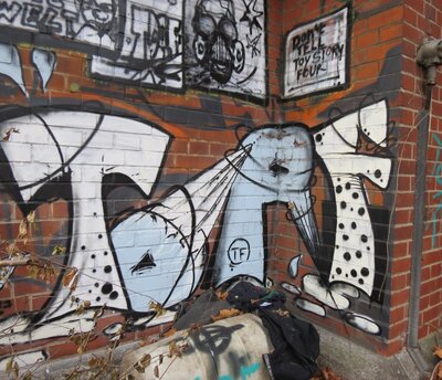 TORF 7