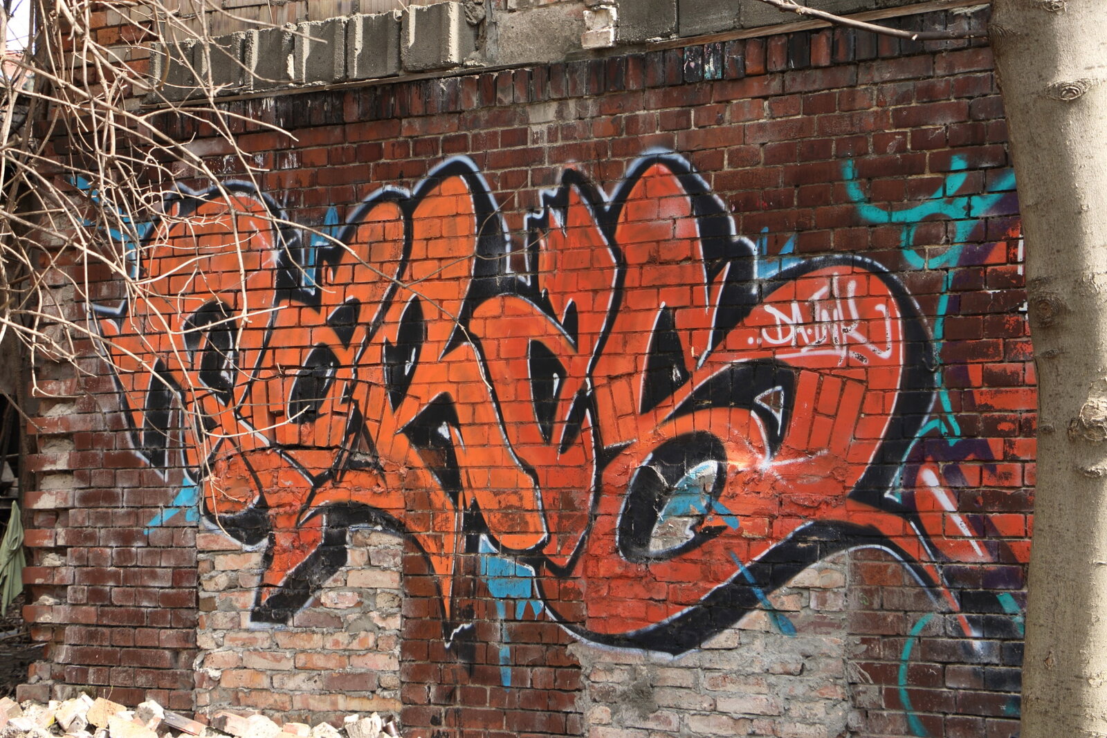 PARAS in Rot