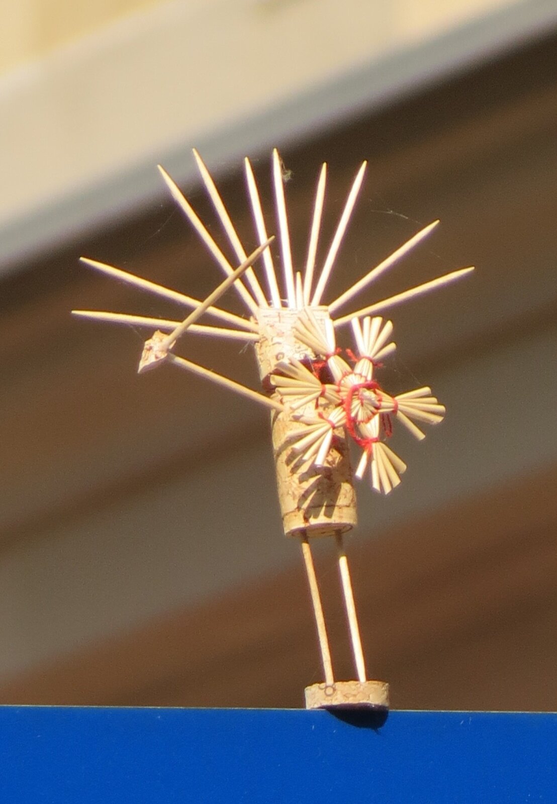 Korkie mit Strahlenkrone