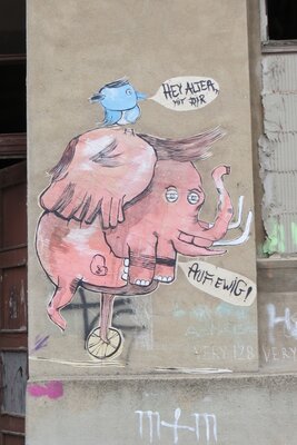 Elefant auf Fahrrad
