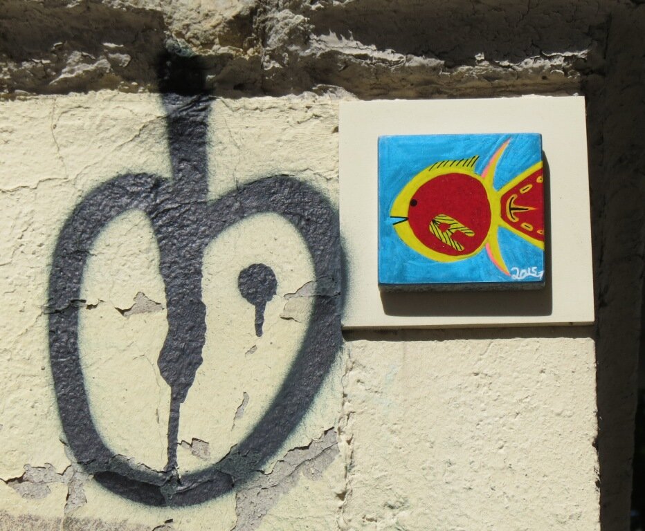 IMG_7950