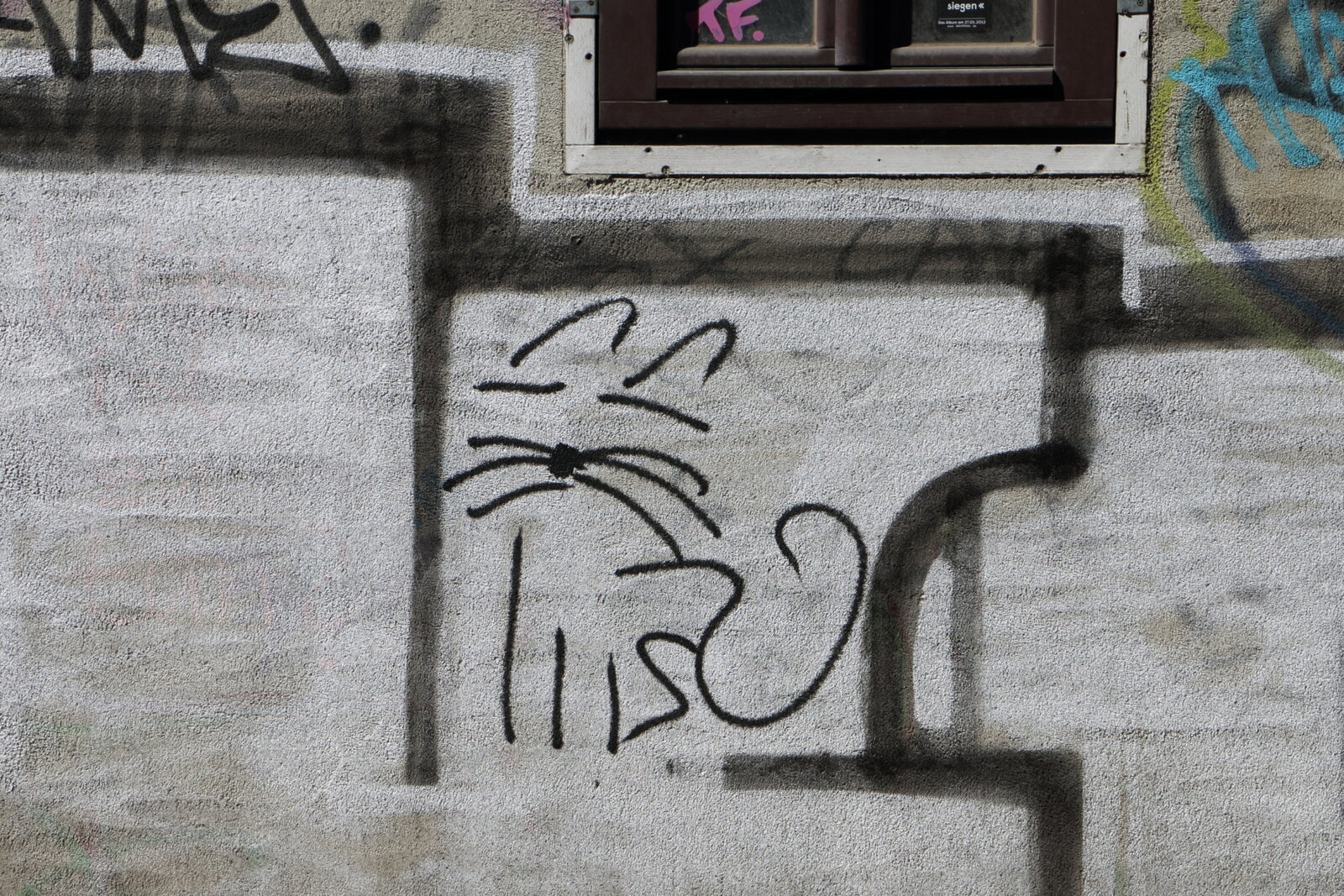 Katze
