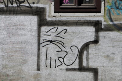 Katze