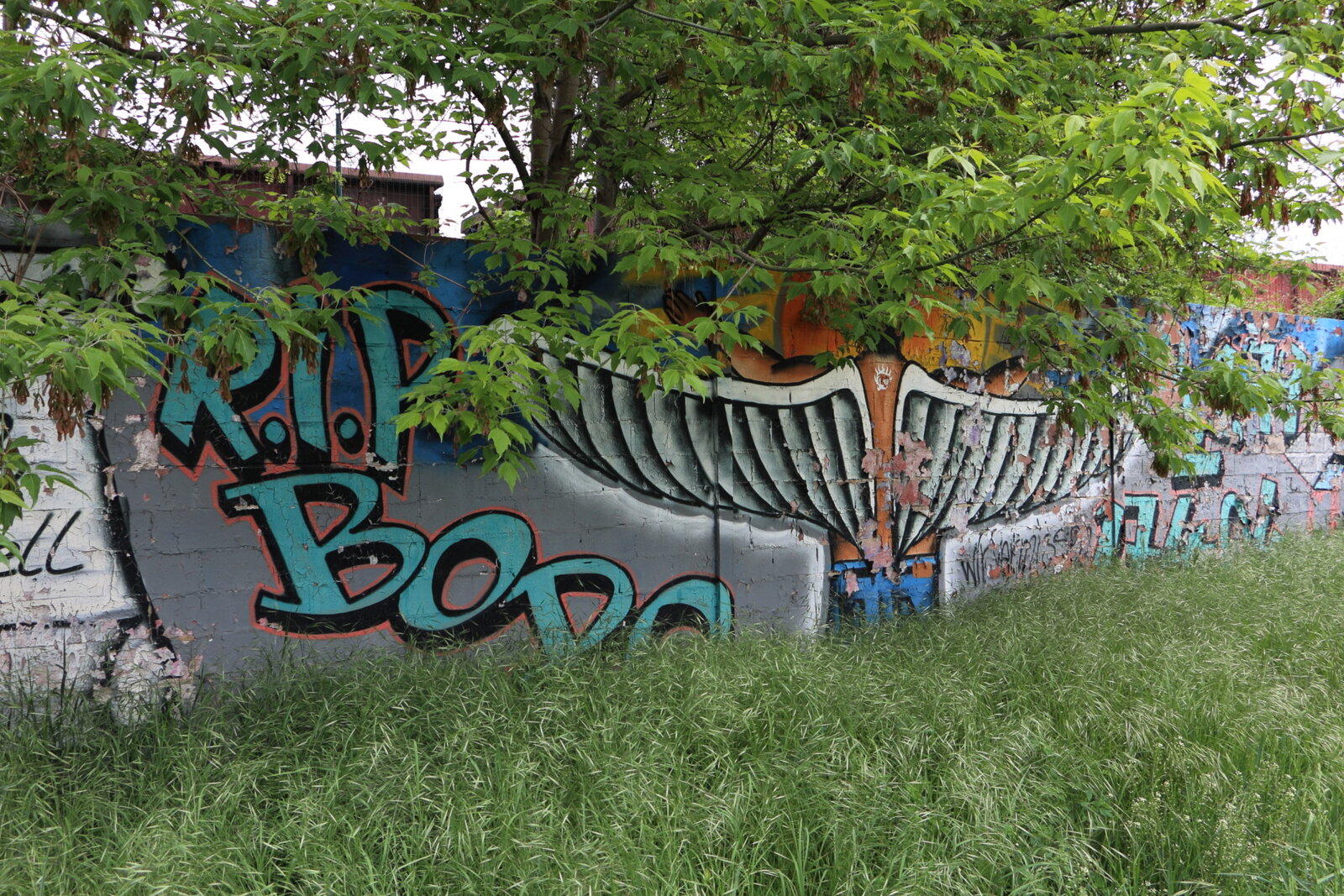 4b-Bodo_IMG_7375