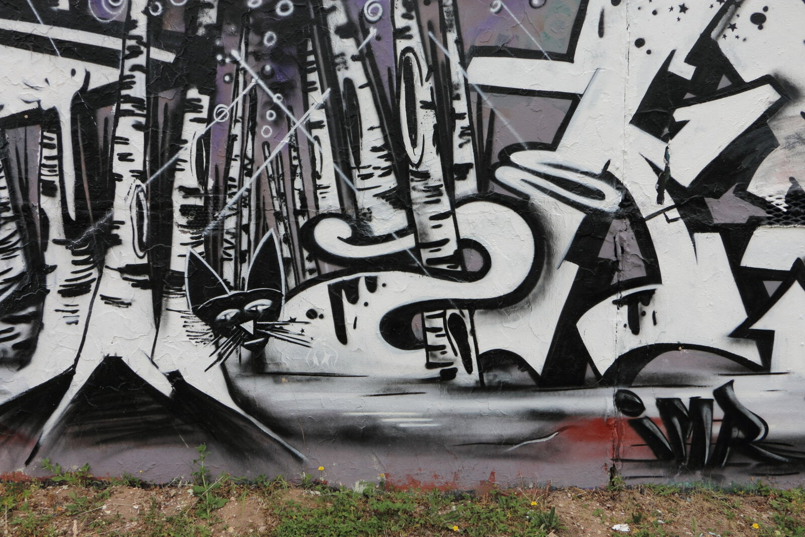 10dd-Detail_IMG_8901