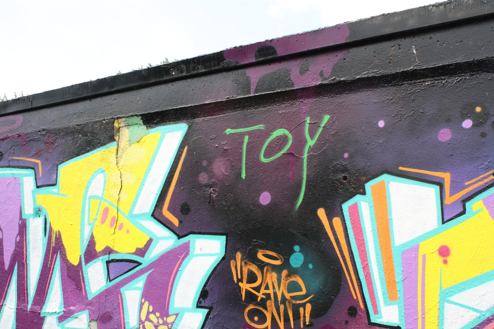TOY_MG_6404