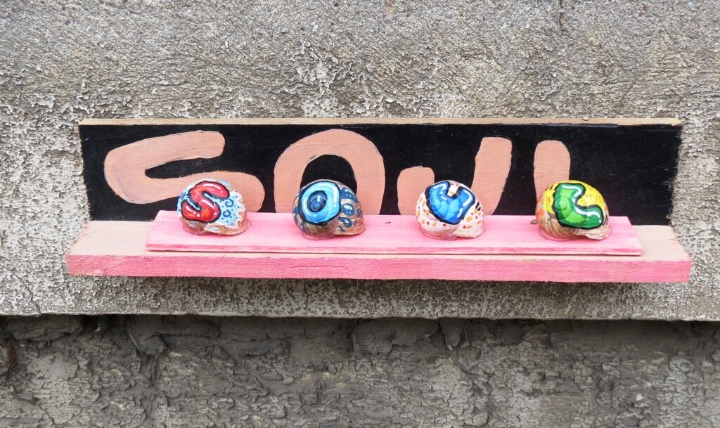Schnecken-Soul neu