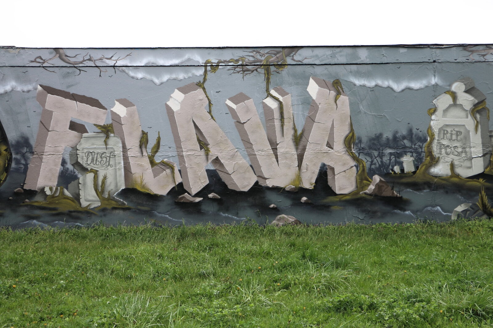 86d-FLAVA_IMG_8213