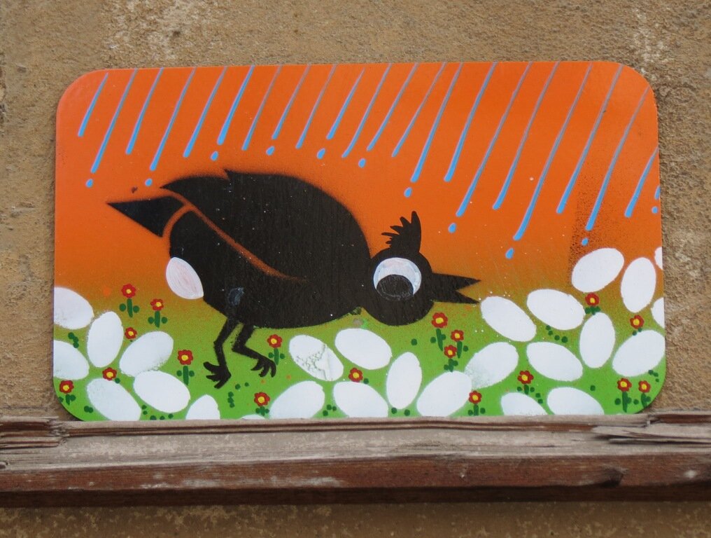 Eierleger im Regen