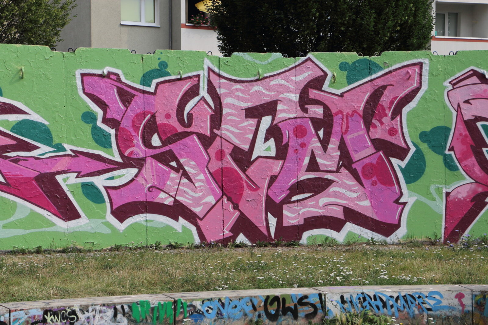 68b-SEN-?IMG_1396v