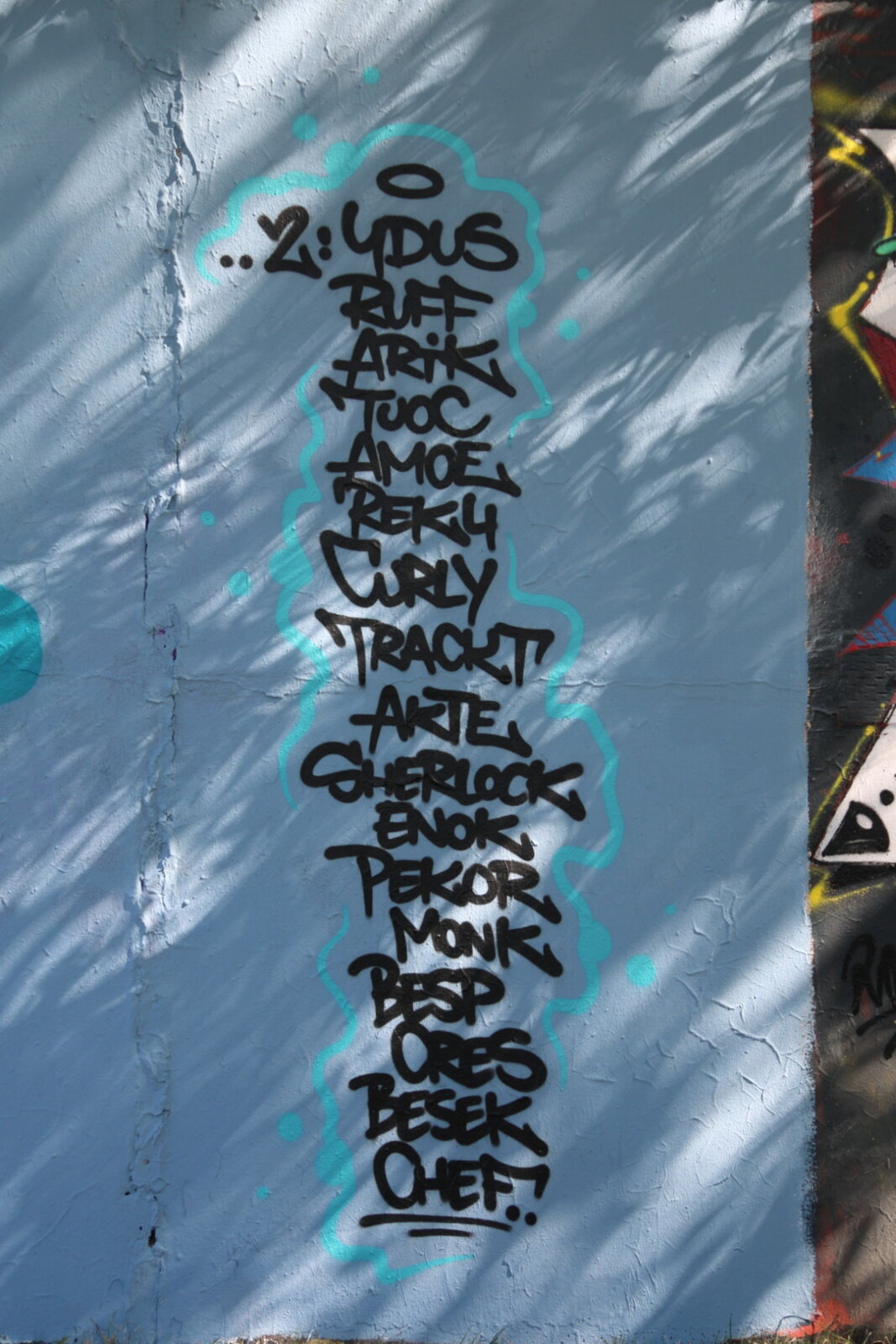 117c-Tags_IMG_2293v