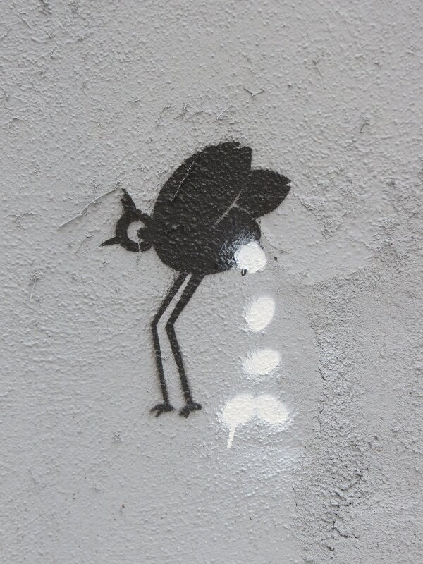 Vögel Eierleger 2.