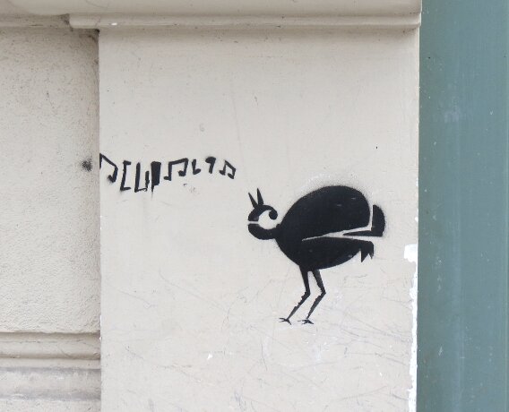 Vögel Eierleger 3.