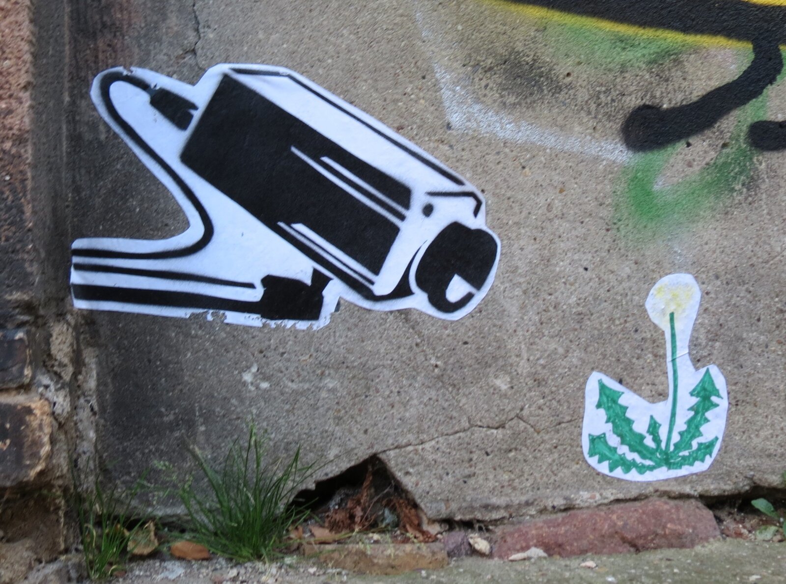 Löwenzahnblüte