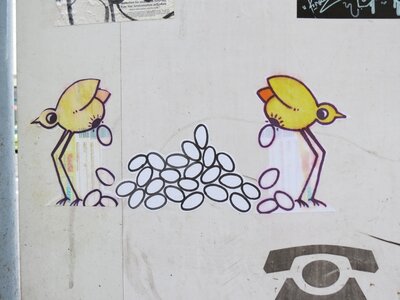 Vögel Eierleger 6.