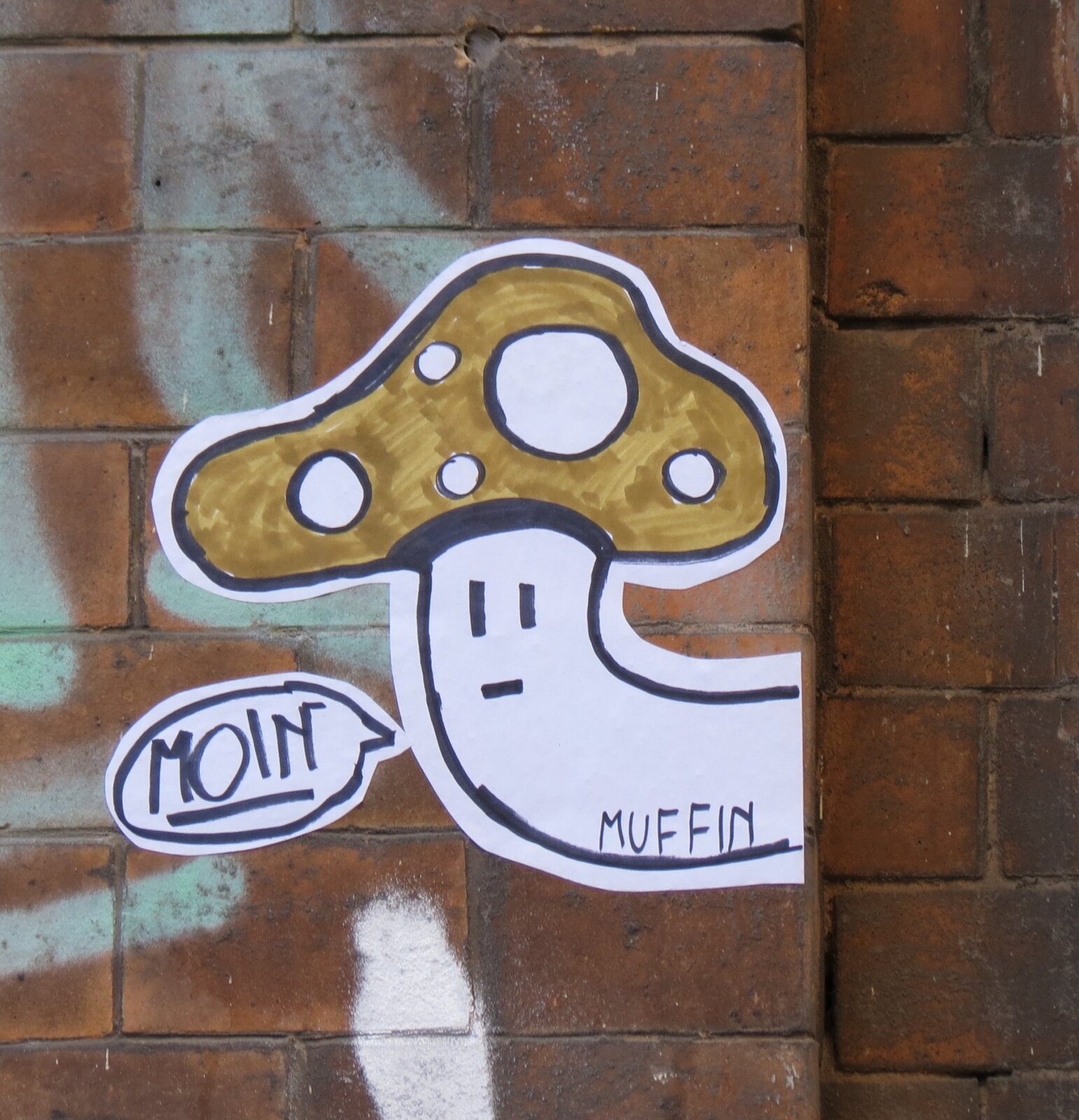Muffin-Pilze