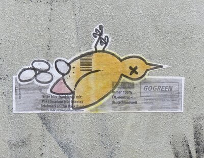 Vögel Eierleger 11.