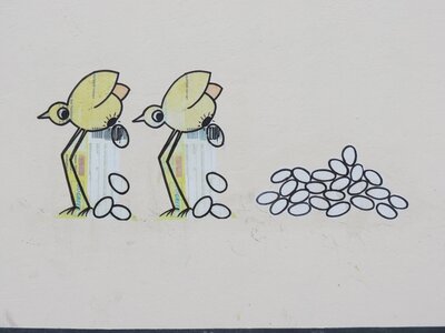 Vögel Eierleger 12.