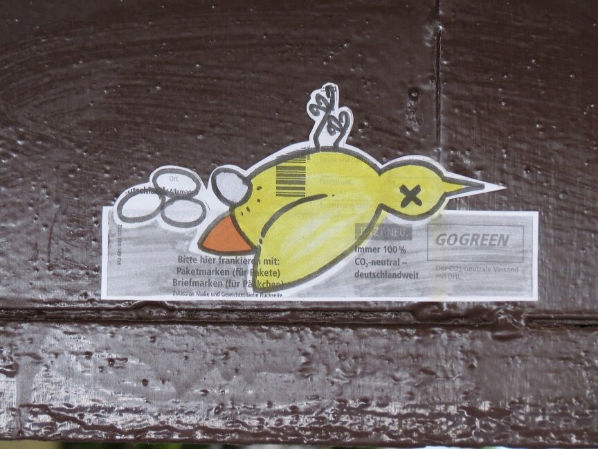 Vögel Eierleger 14.