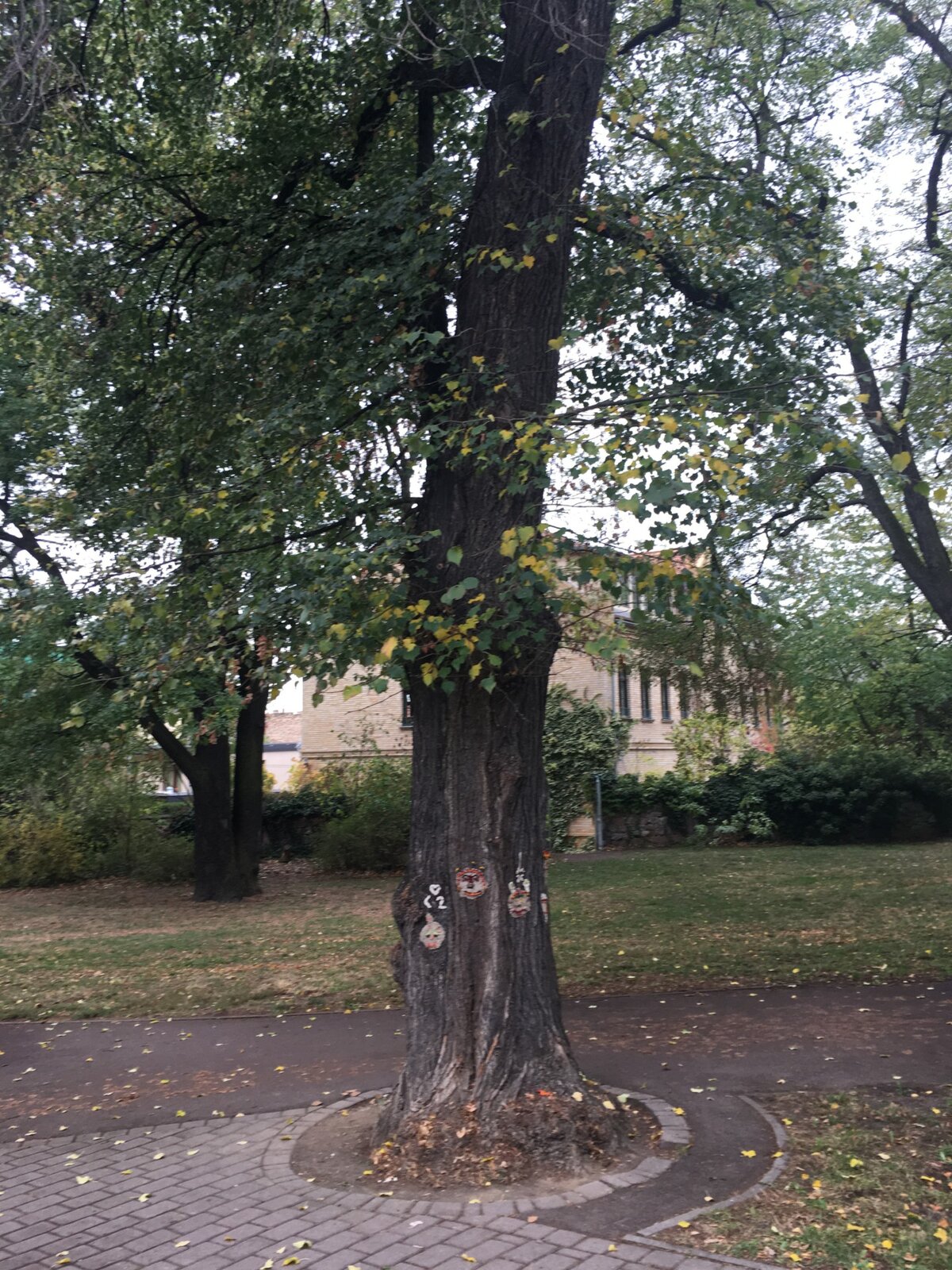 BAUM-art - Herbstfreuden