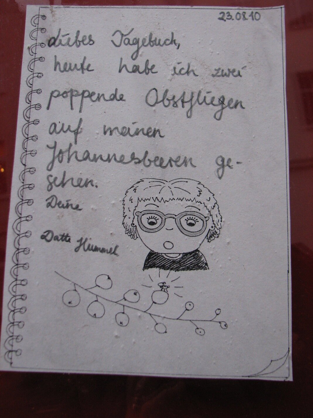Datte Hummel 1.