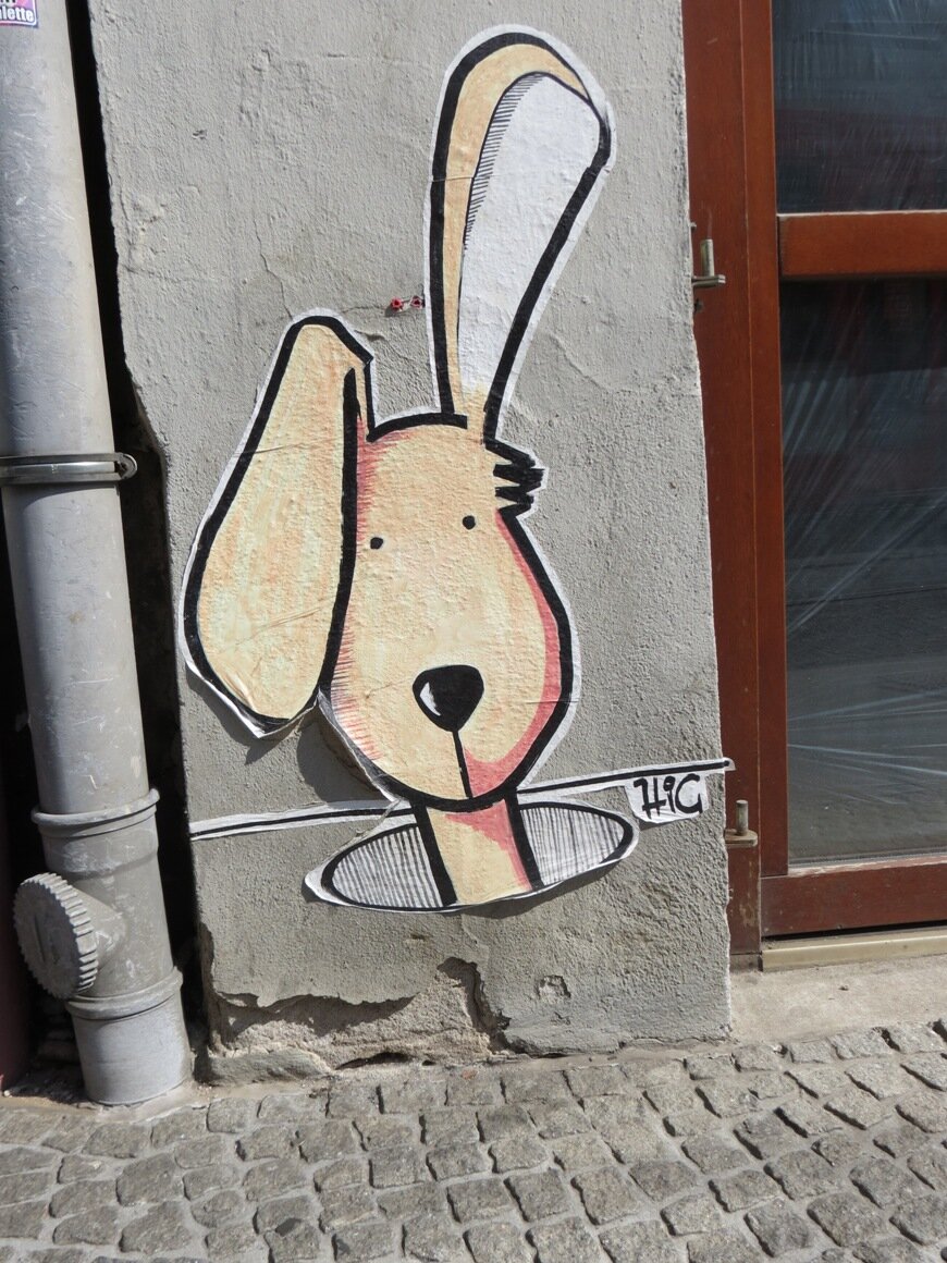 Wand-Hase