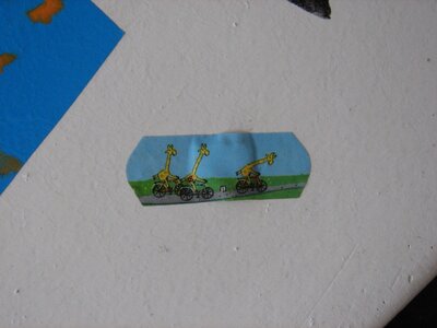 Zwerggiraffen radelnd