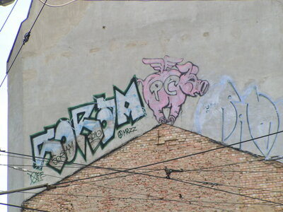 Wenn Schweine Fliegen können …