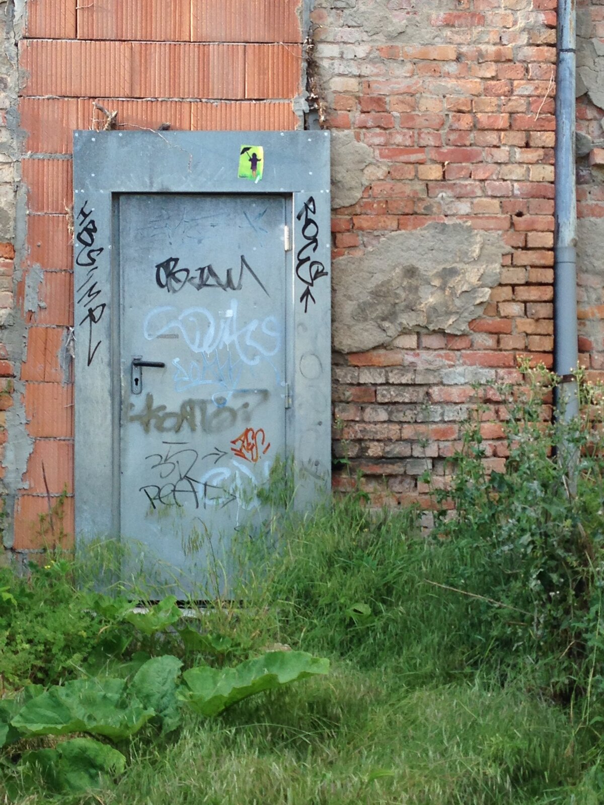 Schirmelinchen in der Wittestraße