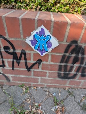 Fliese am Neumarkt