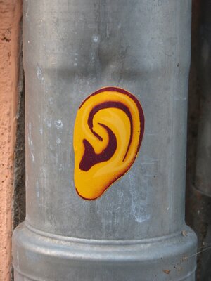 Ganz ... Ohr