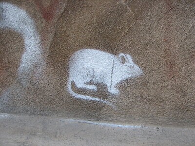Hier kommt die Maus