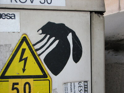 Hornisse?