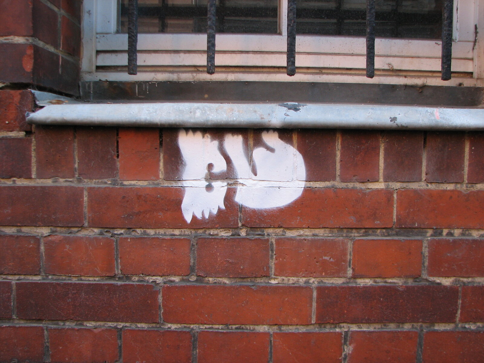 Weißes Stencil-Motiv eines Koalas unter einem Fensterbrett. Es sieht so aus, als würde der Koala am Fenster hängen.