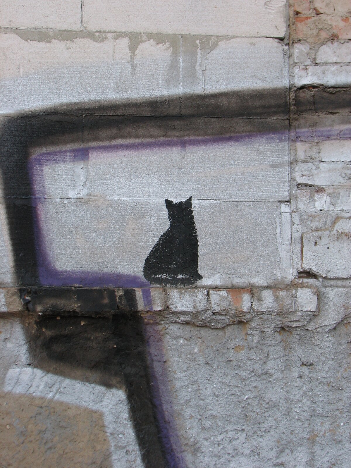 Schwarze Figur einer sitzenden Katze von hinten auf grauer Betonwand, umgeben von lila Farbmarkierungen und Verschmutzungen.