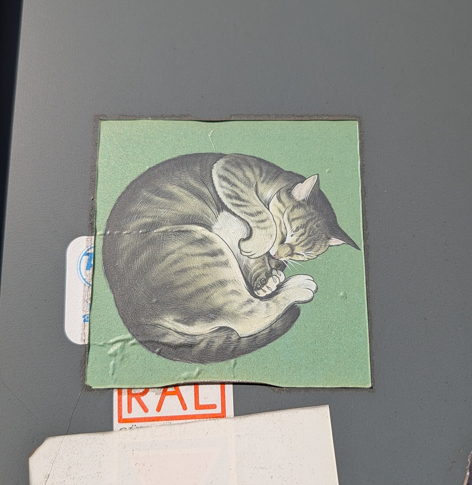 Auf grünem Hintergrund ist eine detailliert gezeichnete Katze zu sehen, die sich zusammengerollt hat. Die Zeichnung wirkt in klassischen Linien ausgeführt, die Katze ist in Grautönen gehalten.